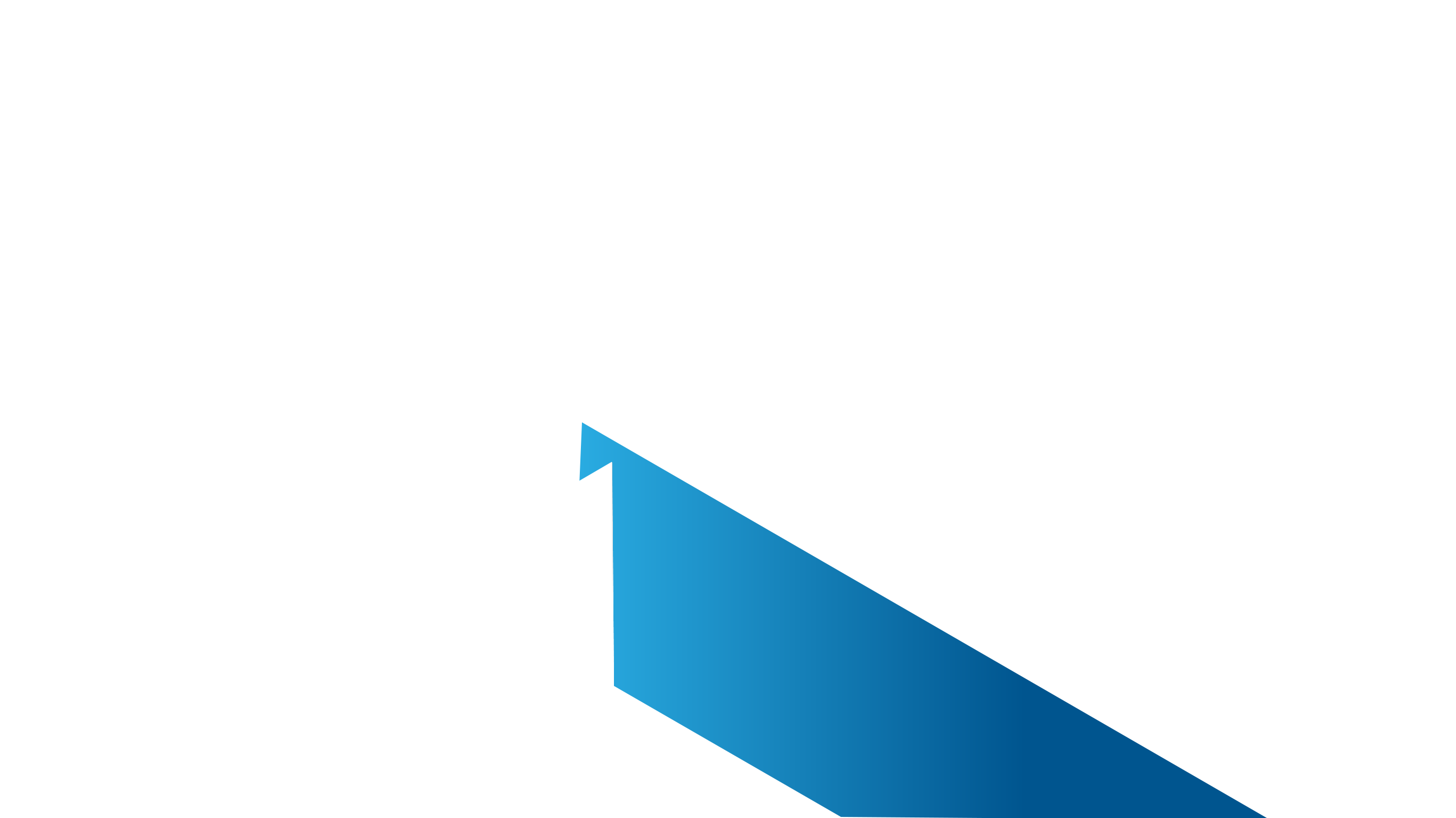 Website Design and Development